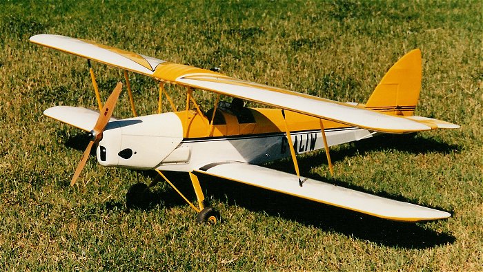 Tiger Moth