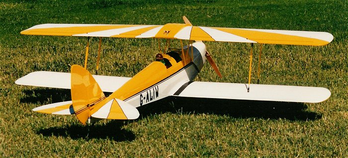 Tiger Moth