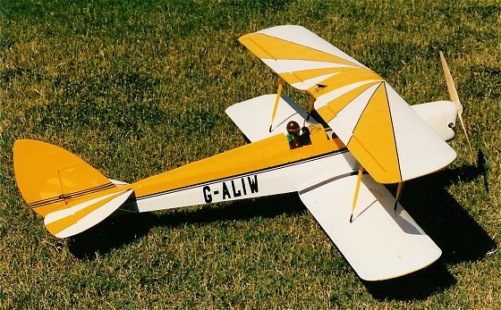 Tiger Moth