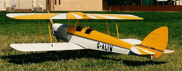 Tiger Moth